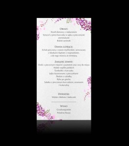 Menu B 027
